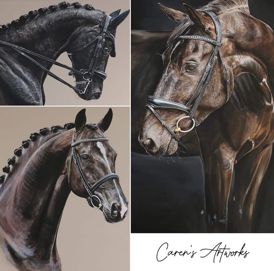 Caren`s Artworks - A Portrait Artist Who Specialises In Equine Original Artwork